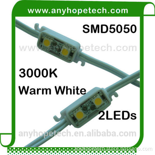 Brilliance China Supplier waterproof 2LEDs 0.48w/pcs 5050 smd led module
